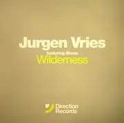 12inch Vinyl Single - Jurgen Vries Featuring Shena - Wilderness
