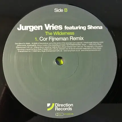 Jurgen Vries Featuring Shena - Wilderness