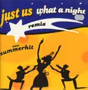12inch Vinyl Single - Just Us - What A Night