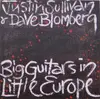 CD - Justin Sullivan / Dave Blomberg - Big Guitars In Little Europe
