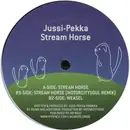 12inch Vinyl Single - Jussi-Pekka Parikka - Stream Horse