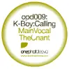 12inch Vinyl Single - K-Boy - Calling