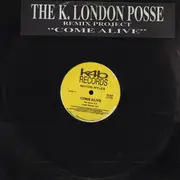 12inch Vinyl Single - Maydie Myles - Come Alive