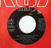 K.T. Oslin - Didn't Expect It To Go Down This Way