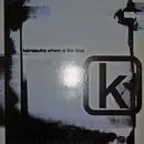 12inch Vinyl Single - Kamasutra - Where Is The Love
