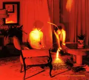 CD - Kammerflimmer Kollektief - Cicadidae - Digipak