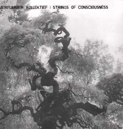 Kammerflimmer Kollektief / Strings Of Consciousness - Kammerflimmer Kollektief / Strings Of Consciousness