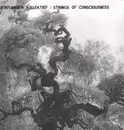 10'' - Kammerflimmer Kollektief / Strings Of Consciousness - Kammerflimmer Kollektief / Strings Of Consciousness