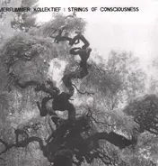 Kammerflimmer Kollektief / Strings Of Consciousness - Kammerflimmer Kollektief / Strings Of Consciousness