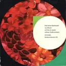 7inch Vinyl Single - Kammerorchester Der Wiener Konzertvereinigung - Eine Kleine Nachtmusik
