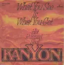 7inch Vinyl Single - Kanyon Featuring Eddie Haddad - What You See Is What You Get / Hot Runnin' Soul
