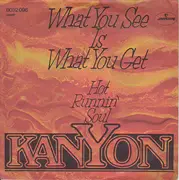 7inch Vinyl Single - Kanyon Featuring Eddie Haddad - What You See Is What You Get / Hot Runnin' Soul
