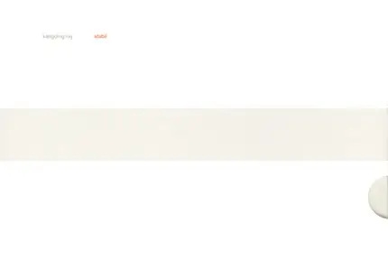 Kangding Ray - Stabil