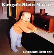 KANGO'S STEIN MASSIV - LETTBEINT LITEN SAK