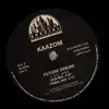12inch Vinyl Single - Kaazom - Future Dream