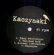 LP - Kaczynski / August Landmesser - Kaczynski / August Landmesser - Dark Post-Hardcor from Poland / Split-LP