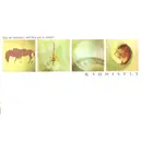 CD - Kaddisfly - Buy Our Intention; We'll Buy You A Unicorn