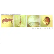Kaddisfly - Buy Our Intention; We'll Buy You a Unicorn