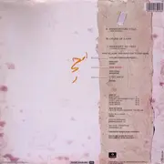12inch Vinyl Single - Kaja - Shouldn't Do That (Disciplined)