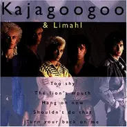 Kajagoogoo - Best of,the Very