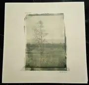 LP & MP3 - Kalamahara - Greener Fields