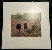 Kalamahara - Greener Fields