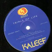 12inch Vinyl Single - Kaleef - Trials Of Life