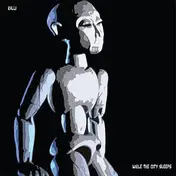 Kalli - While The City Sleeps