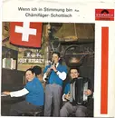 7inch Vinyl Single - Kapelle Jost Ribary Jun. - Wenn Ich In Stimmung Bin / Chämifäger-Schottisch
