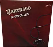 Karthago - Senkifoldjen