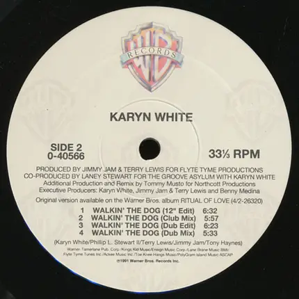Karyn White - Do Unto Me