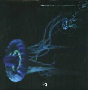 Karada - Il Futuro