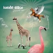 karate disco