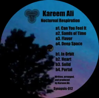 Kareem Ali - Nocturnal