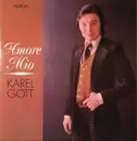 LP - Karel Gott - Amore Mio - Dark Red Labels