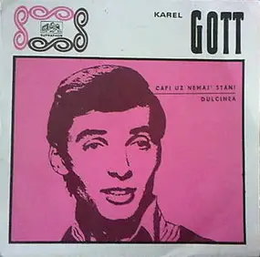 Karel Gott - Čápi Už Nemaj' Stání / Dulcinea