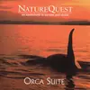 CD - Karel Roessingh - Orca Suite