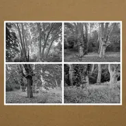 Karen Vogt - Haunted Woodland Volume Five