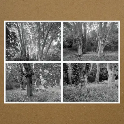 Karen Vogt - Haunted Woodland Volume Five