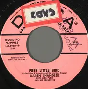Karen Chandler - Free Little Bird
