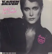 Karen Silver - Hold On I'm Coming