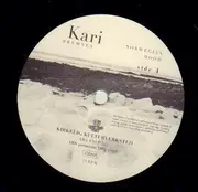 Double LP - Kari Bremnes - Norwegian Mood