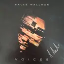 LP & MP3 - Karlheinz Wallner - Voices - 180g, Crystal Clear Vinyl, 2 postcards, MP3
