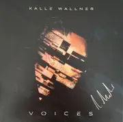 LP & MP3 - Karlheinz Wallner - Voices - 180g, Crystal Clear Vinyl, 2 postcards, MP3