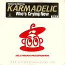 12inch Vinyl Single - Karmadelic - Who's Crying Now