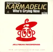12inch Vinyl Single - Karmadelic - Who's Crying Now