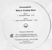 Karmadelic - Who's Crying Now
