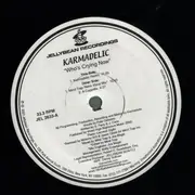 12inch Vinyl Single - Karmadelic - Who's Crying Now