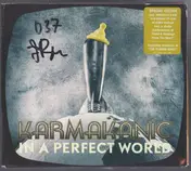 Karmakanic - In a Perfect World