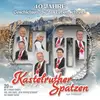 Double LP - Kastelruther Spatzen - 40 Jahre-Geschichten,Die Das Leben Schreibt